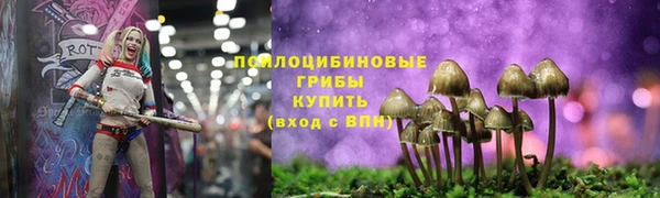 прущий лед Алзамай