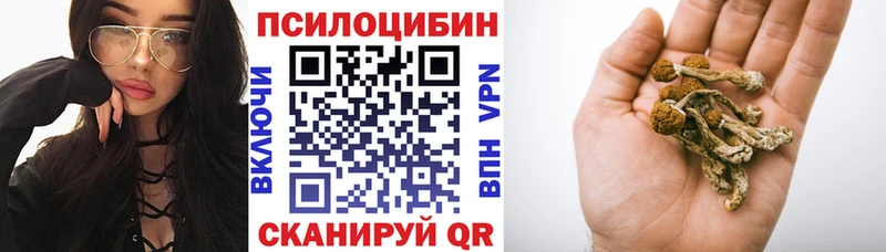 hydra вход  Далматово  Галлюциногенные грибы Psilocybine cubensis 